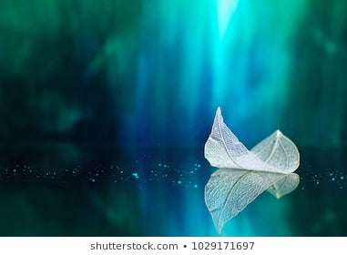 Hoodie 2019 New Style Fire Skull Printed Men's Sweatshirts & Hoodies Large Size Coat Autumn And Winter Sweater Fashion